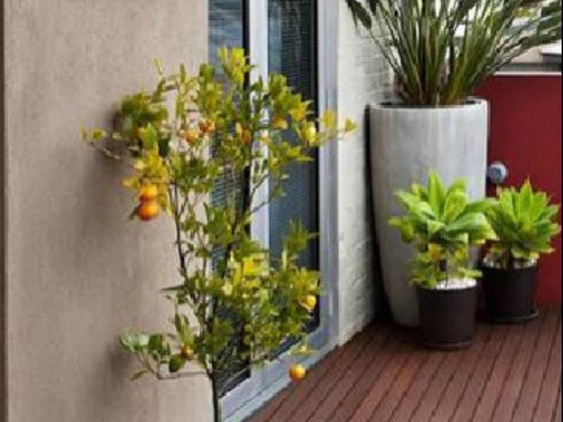 Twofourtwo Boutique Apartments Launceston Dış mekan fotoğraf